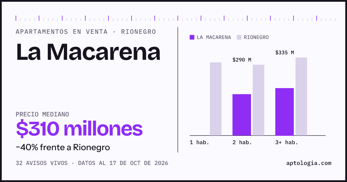 Precio de apartamentos en venta en La Macarena, Rionegro, octubre de 2026: mediana $310.000.000